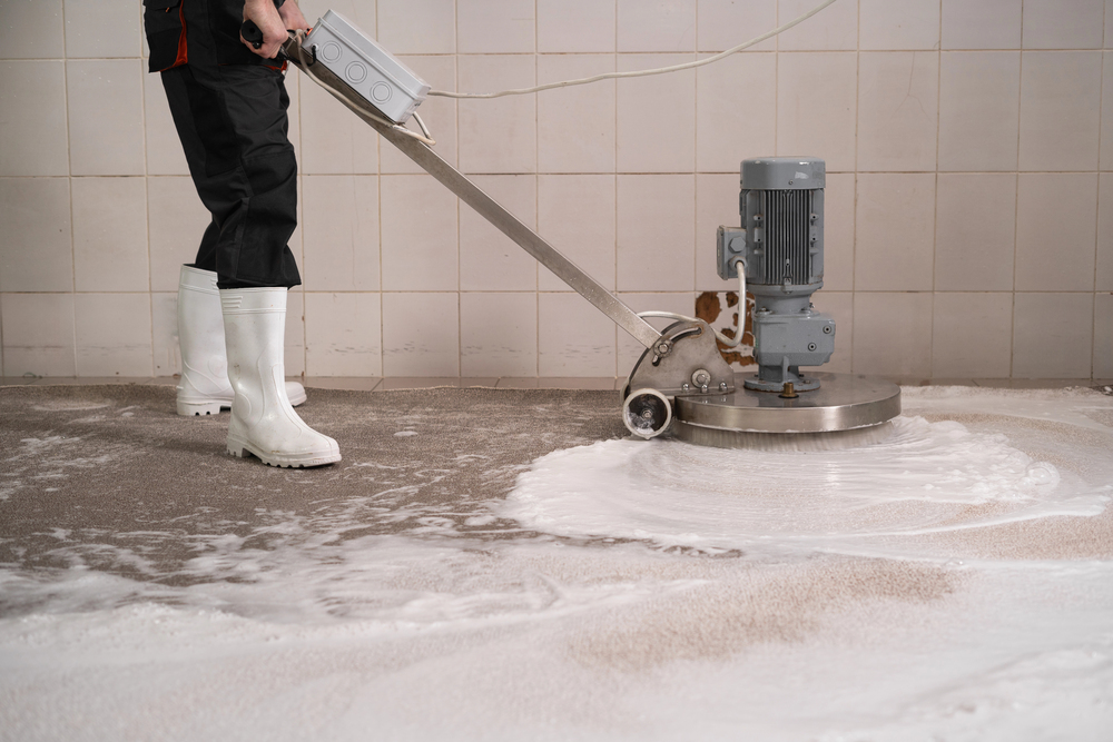 Deep carpet cleaning in Compton